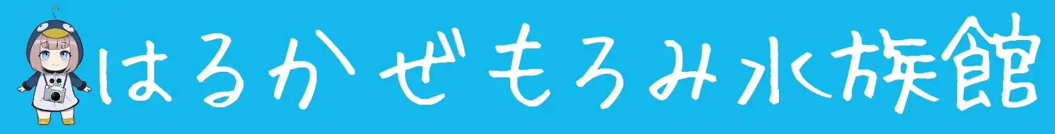 はるかぜもろみ水族館
