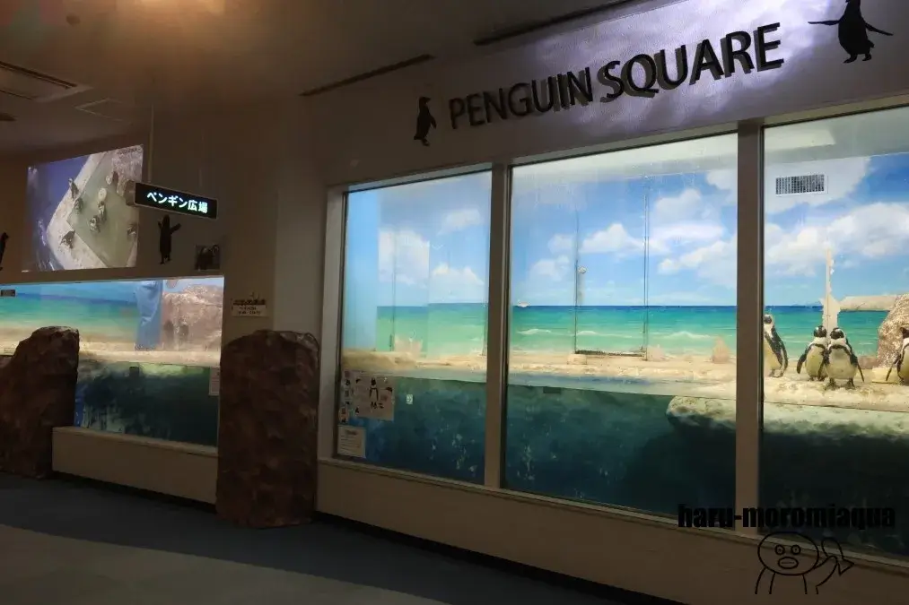 サンピアザ水族館