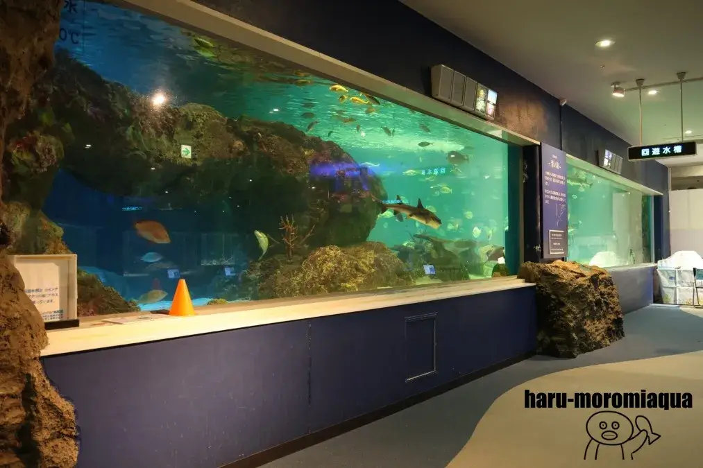 サンピアザ水族館　大水槽