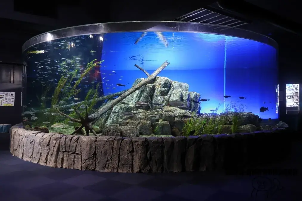 千歳水族館　支笏湖