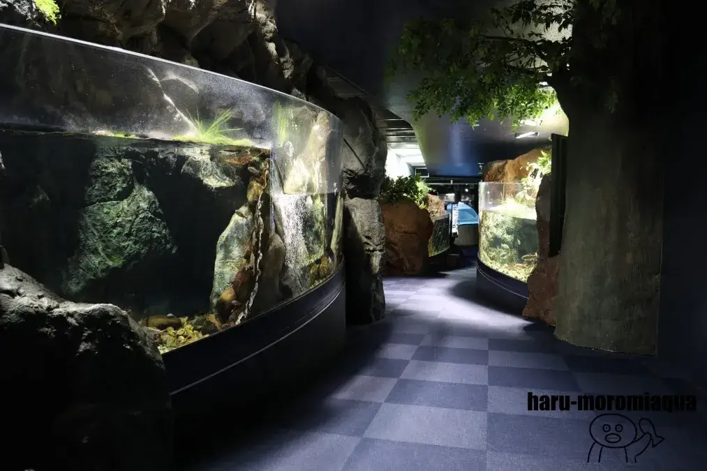 千歳水族館