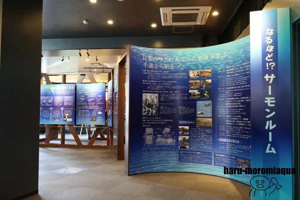 千歳水族館　サーモンルーム