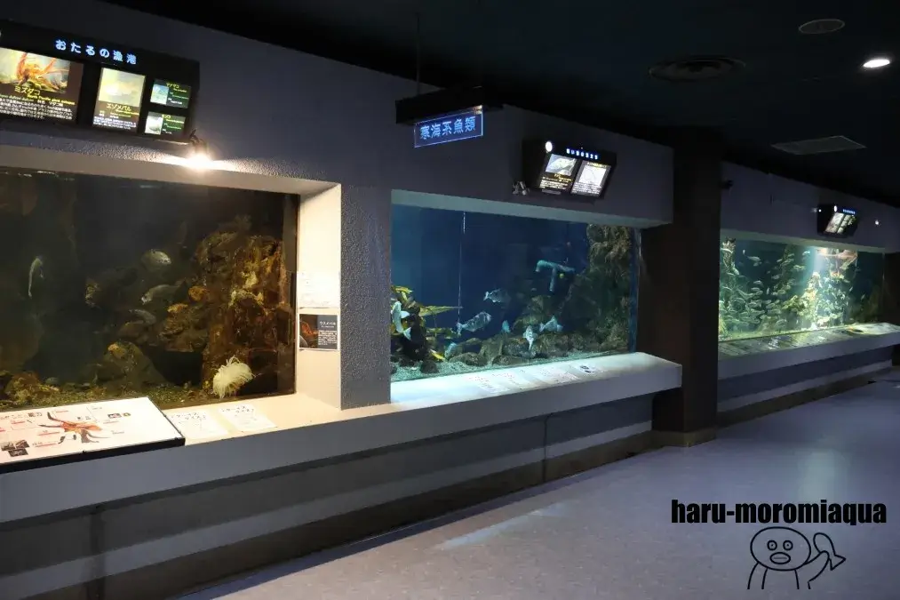 おたる水族館