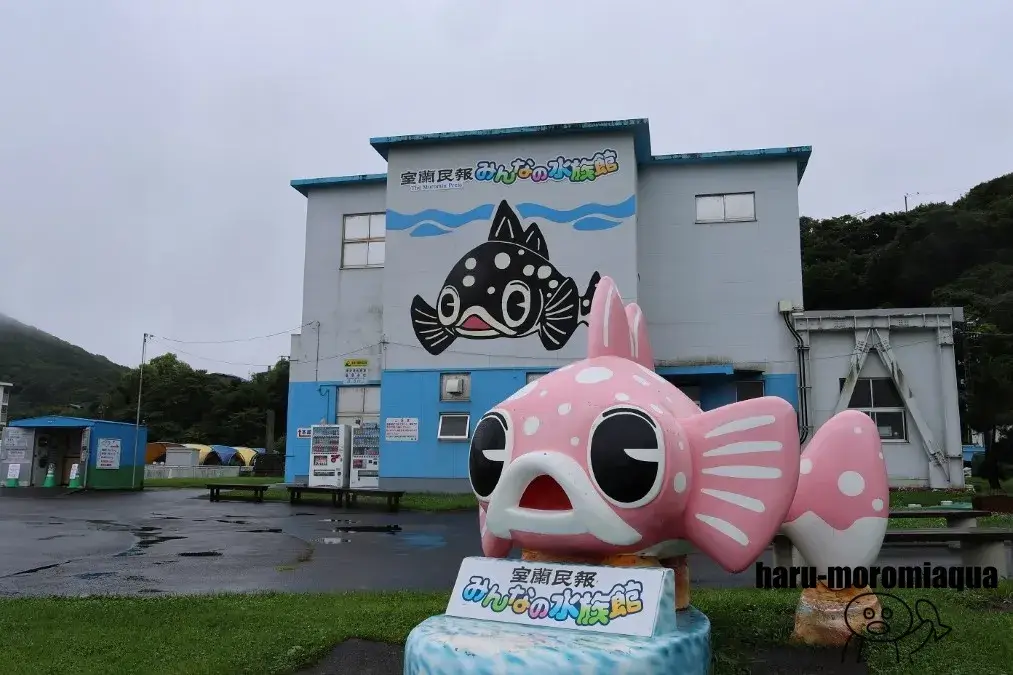 室蘭民報みんなの水族館