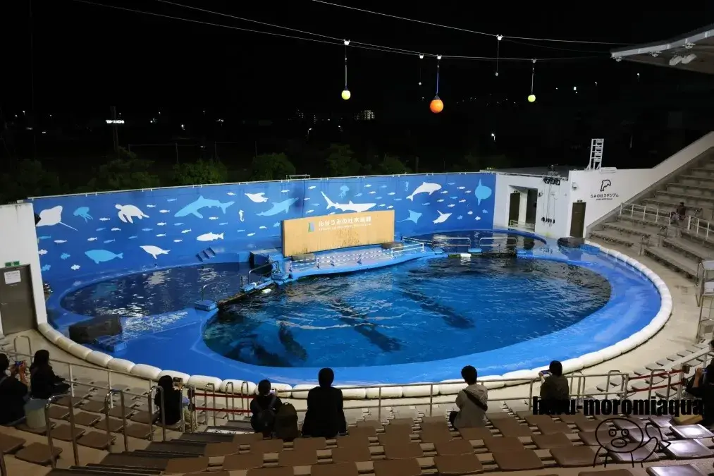 仙台うみの杜水族館　おひとりさまナイト水族館
