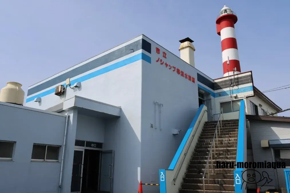 ノシャップ寒流水族館
