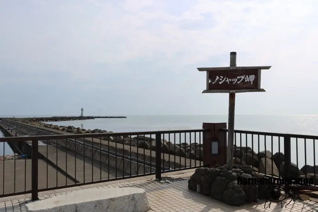 ノシャップ岬