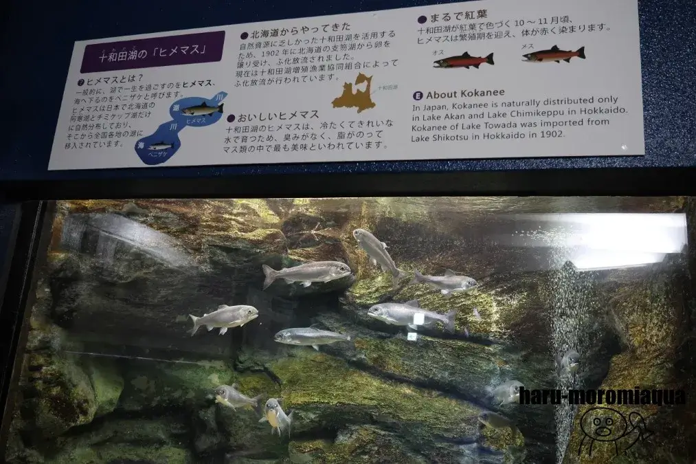 浅虫水族館