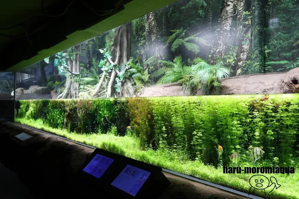 浅虫水族館