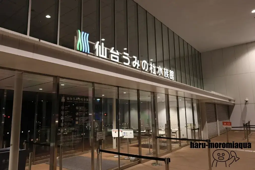 仙台うみの杜水族館　おひとりさまナイト水族館