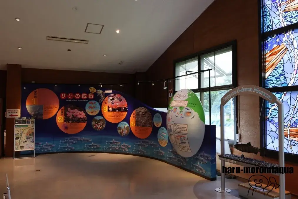 札幌市豊平川さけ科学館