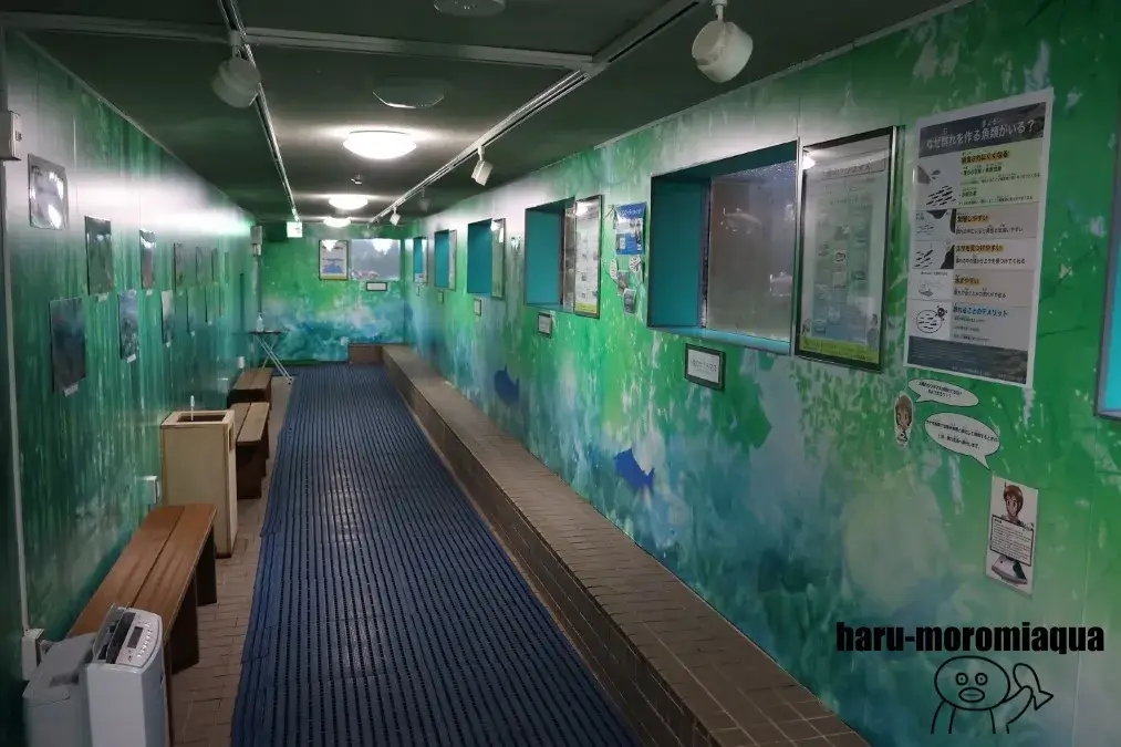 札幌市豊平川さけ科学館