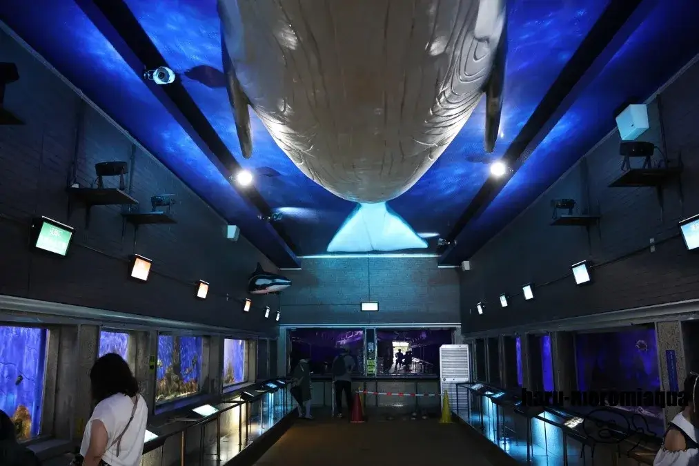 室蘭民報みんなの水族館