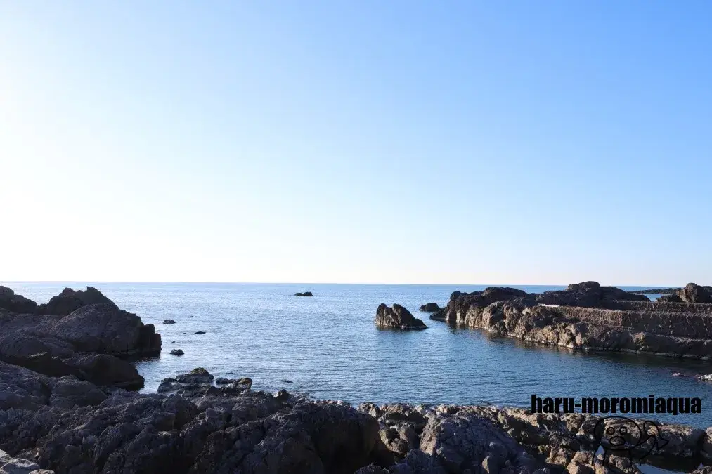 男鹿水族館GAO