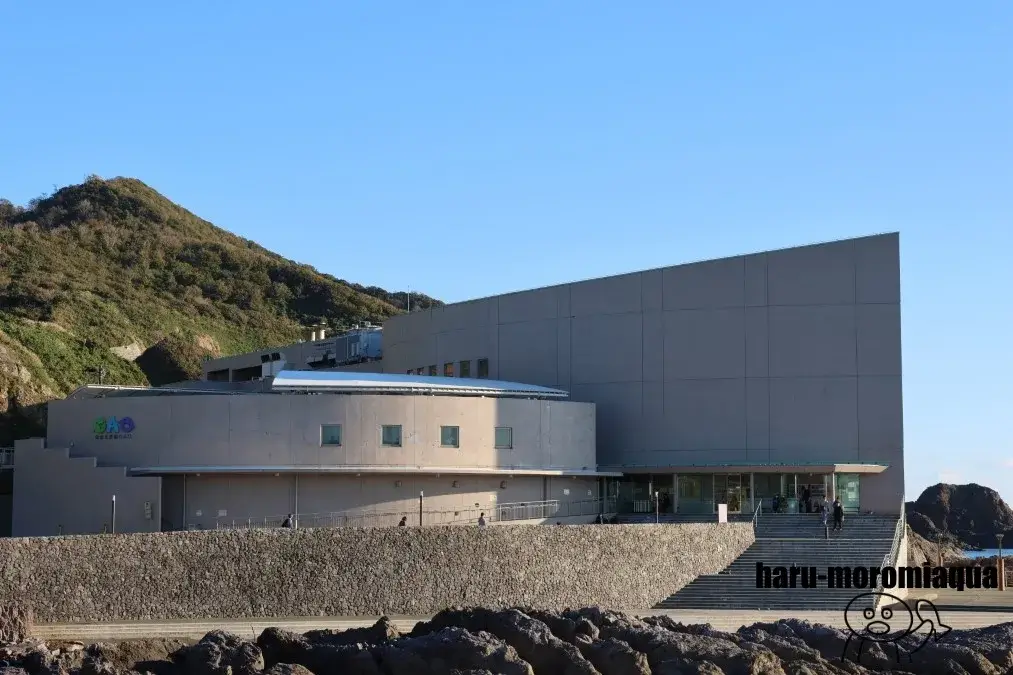 男鹿水族館GAO
