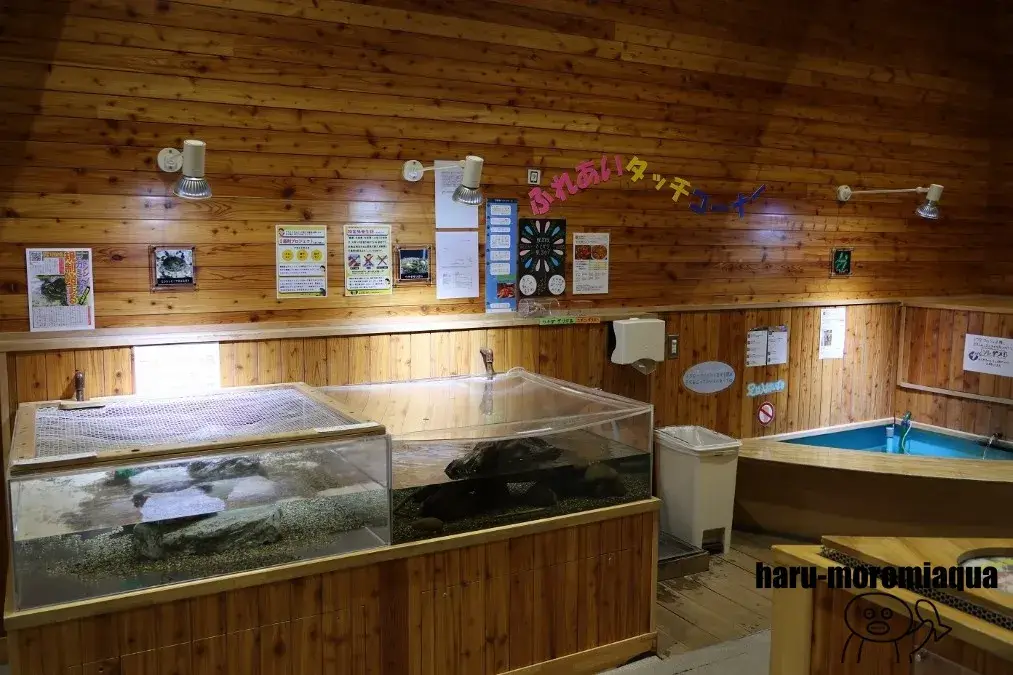 北の大地の水族館