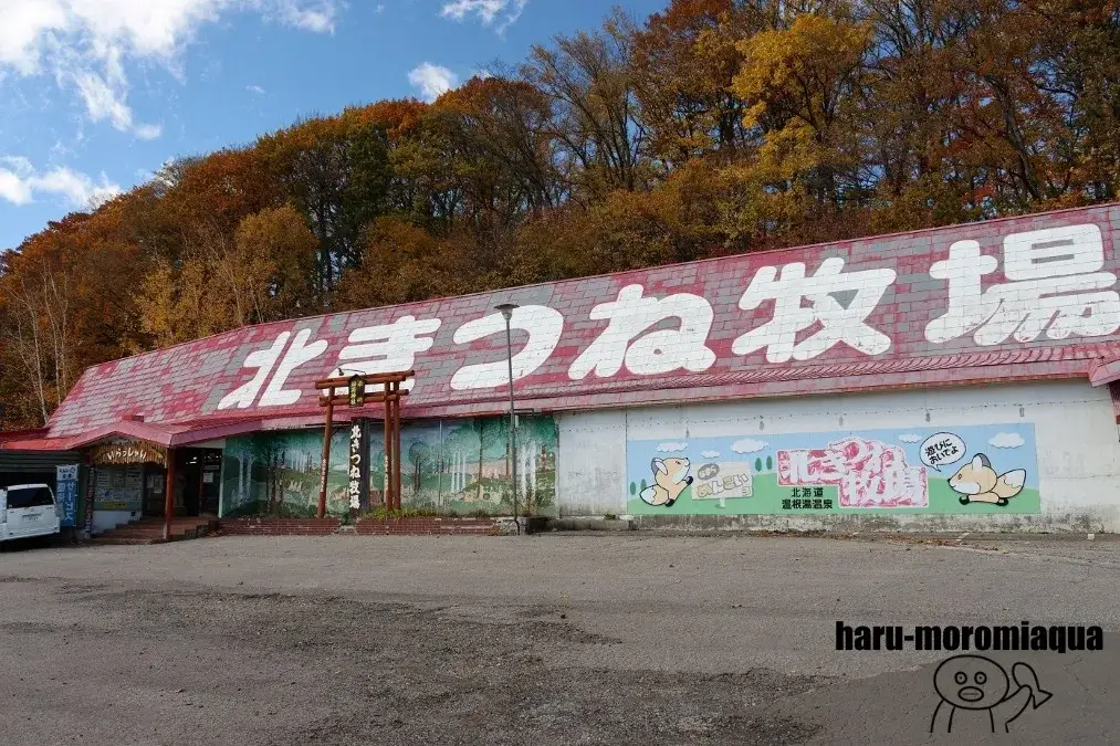 北きつね牧場