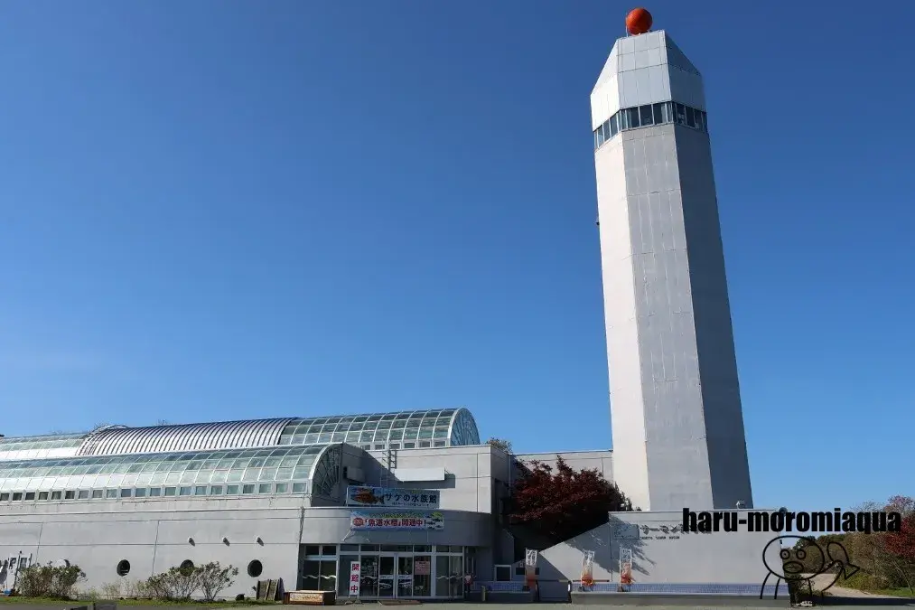 標津サーモン科学館