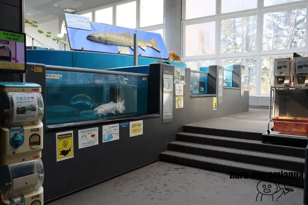 標津サーモン科学館