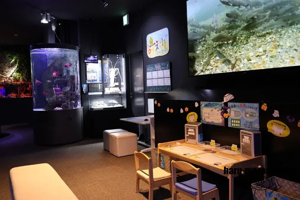 くしろ水族館ぷくぷく