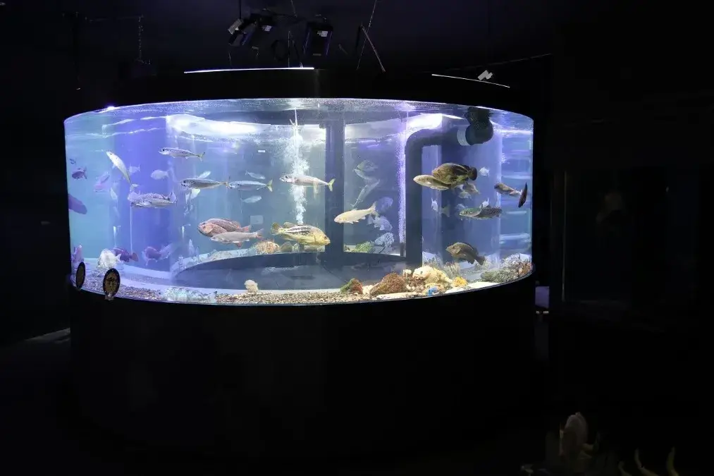 くしろ水族館ぷくぷく