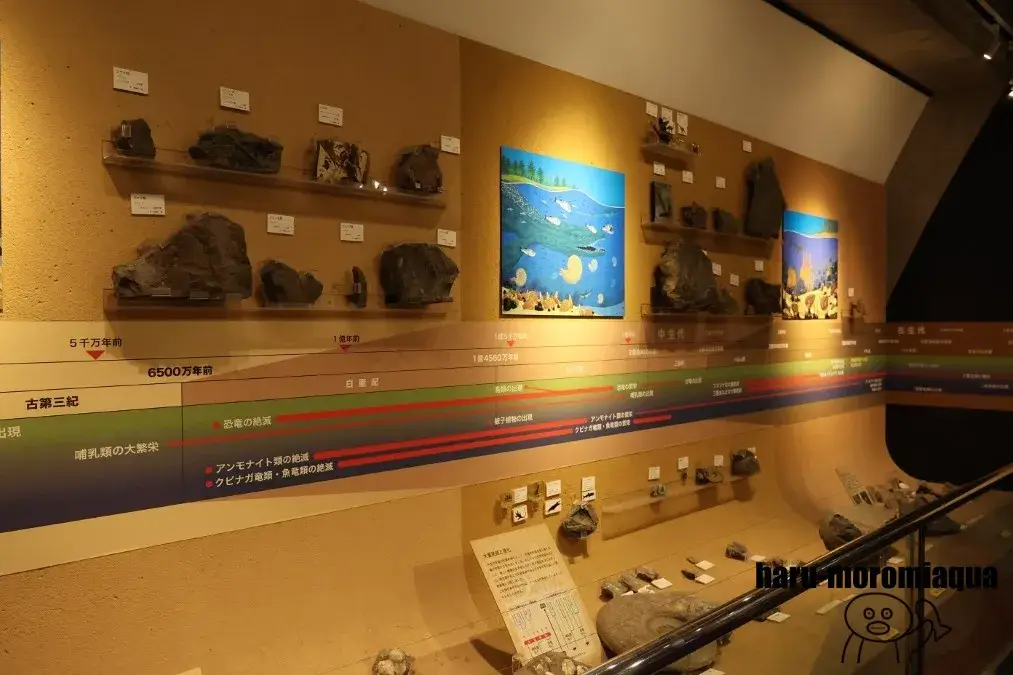 アクアマリンふくしま　学習展示