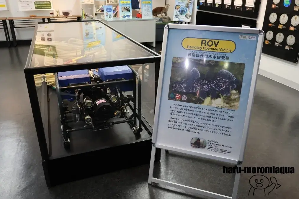 アクアマリンふくしま　学習展示
