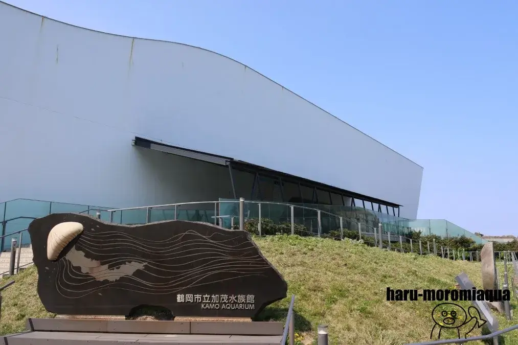 鶴岡市立加茂水族館