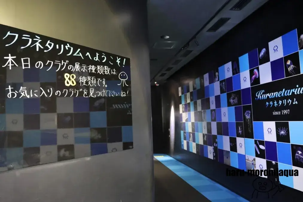 鶴岡市立加茂水族館　クラネタリウム