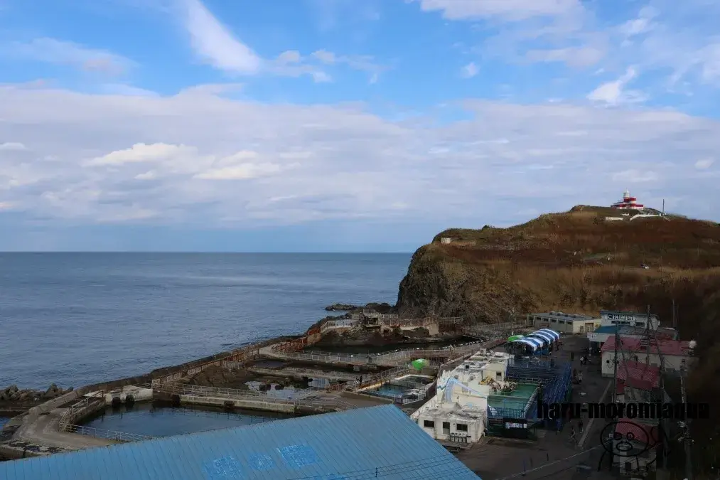 おたる水族館　海獣広場