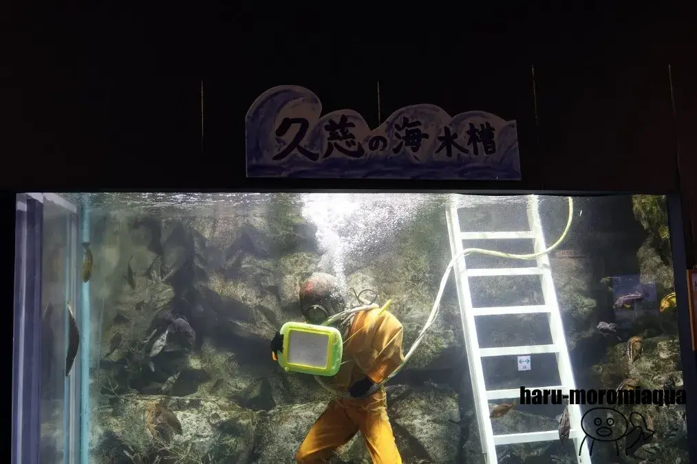 久慈地下水産科学館もぐらんぴあ　ダイバー