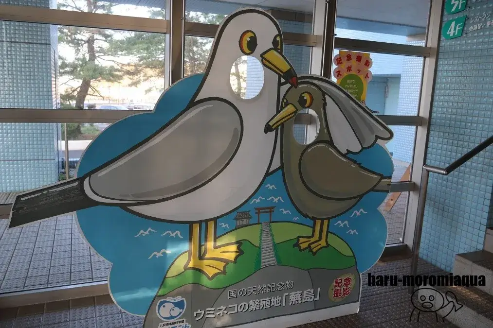 八戸市水産科学館マリエント
