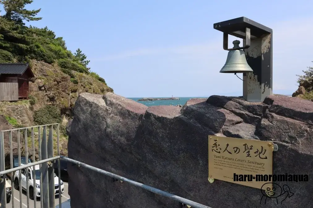 鶴岡市立加茂水族館
