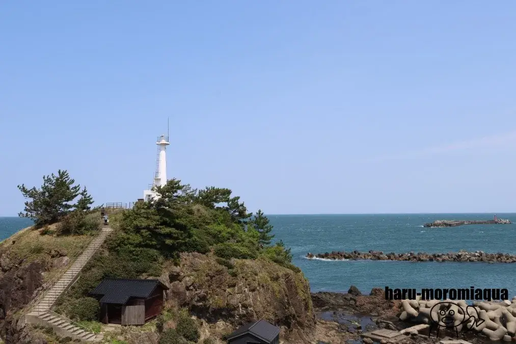 鶴岡市立加茂水族館