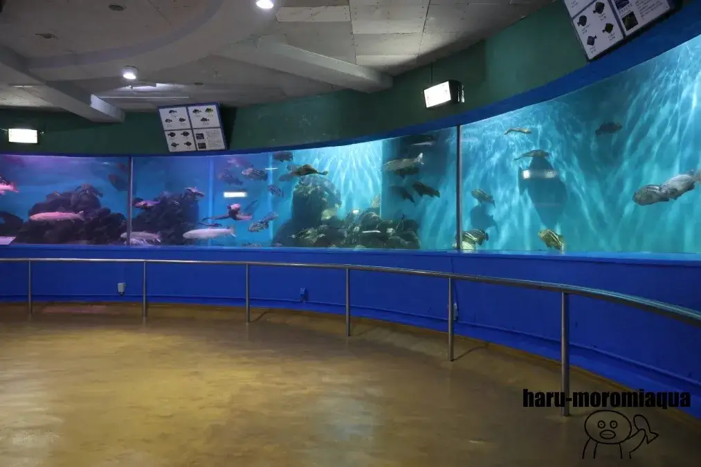 ノシャップ寒流水族館