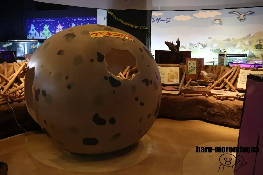 八戸市水産科学館マリエント