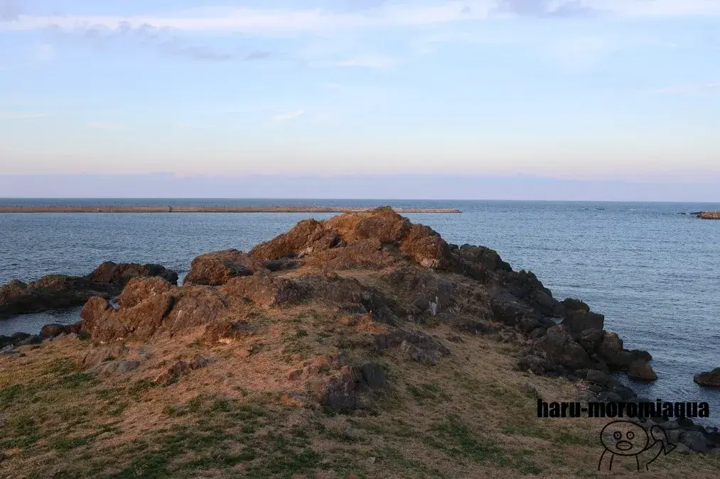蕪島