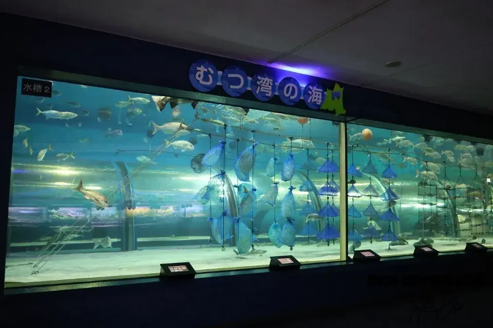 浅虫水族館　むつ湾の海