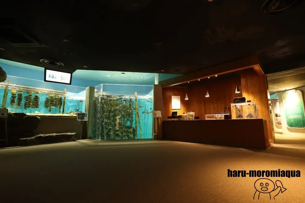 仙台うみの杜水族館　カキ