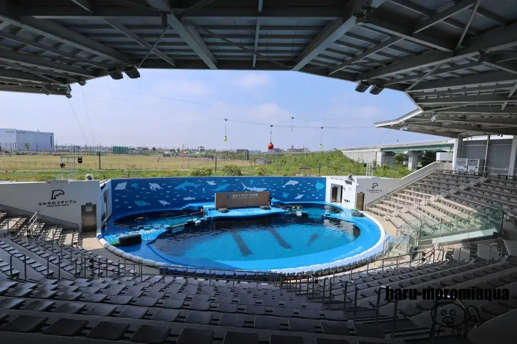 仙台うみの杜水族館　スタジアム
