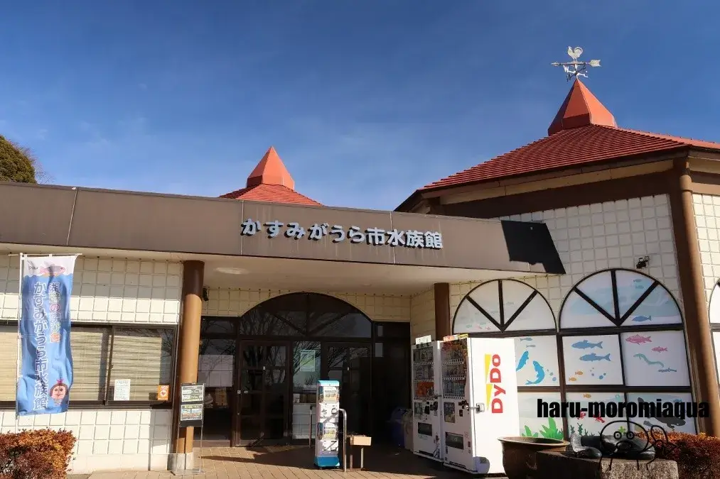 かすみがうら市水族館