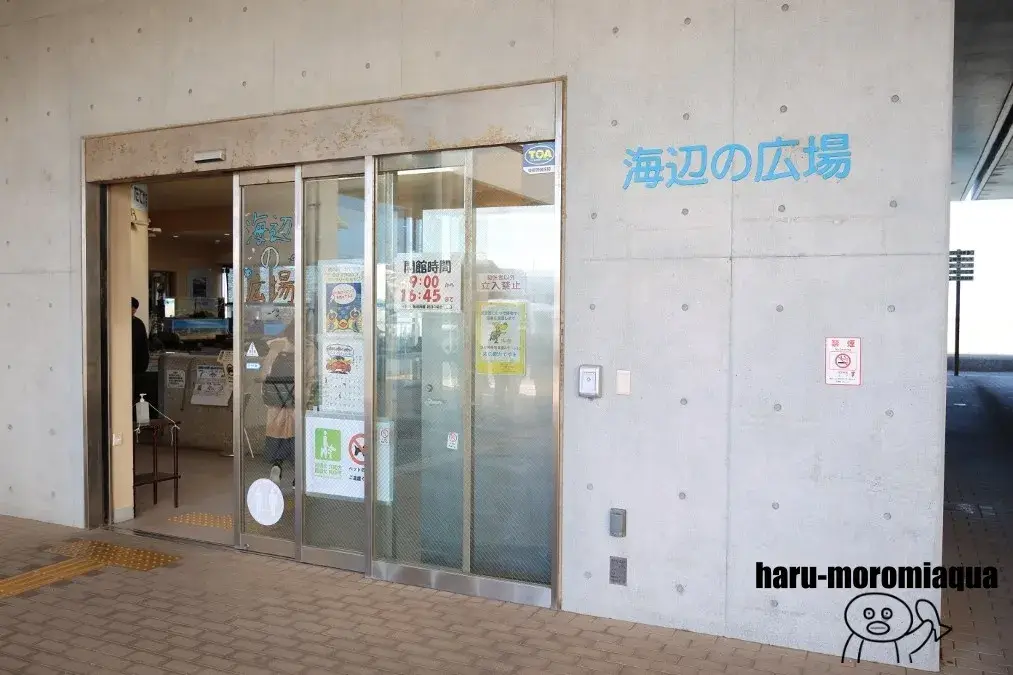 渚の駅たてやま　海辺の広場
