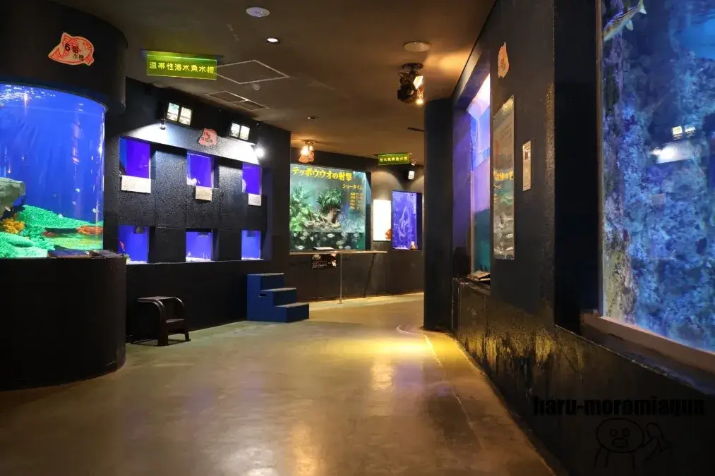 寺泊水族博物館