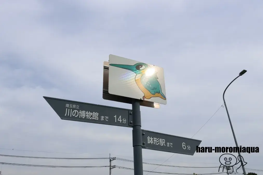 埼玉県立川の博物館