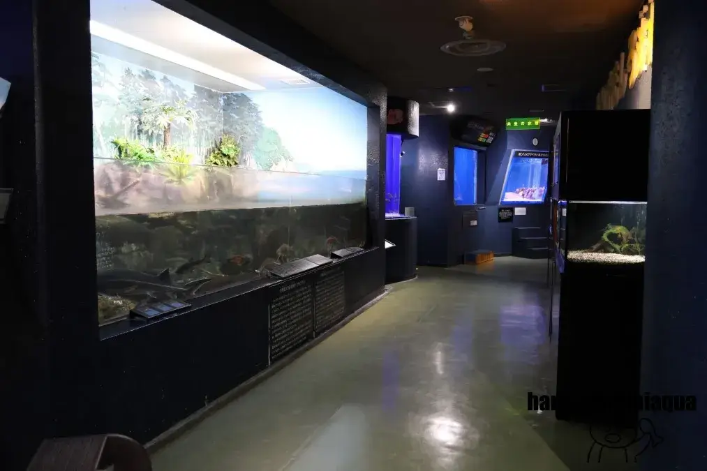 寺泊水族博物館