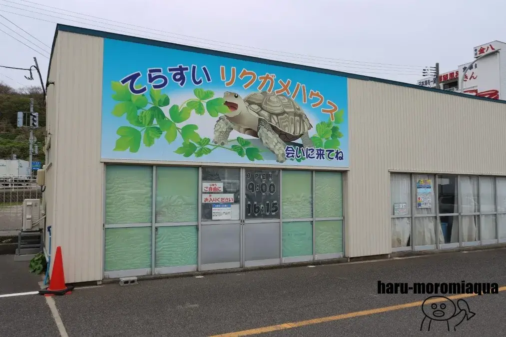 寺泊水族博物館