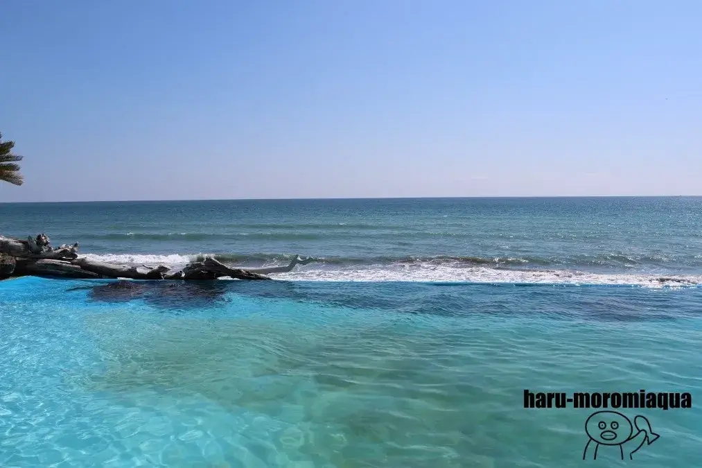 鴨川シーワールド　海