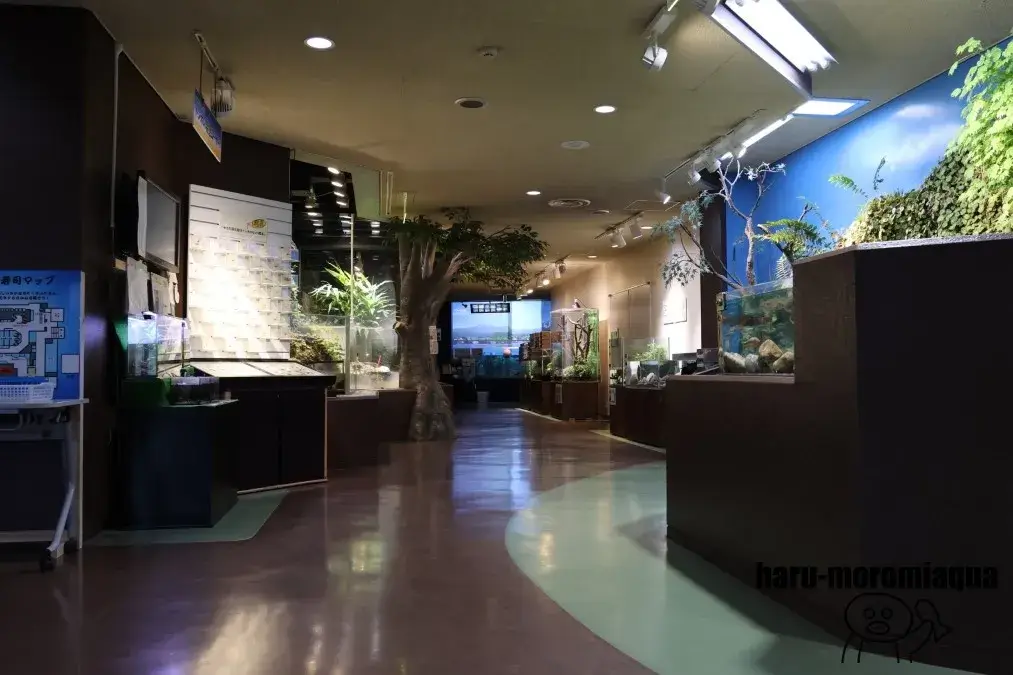 魚津水族館