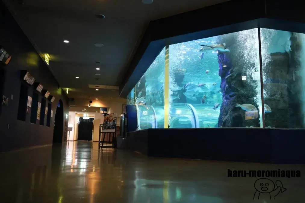魚津水族館