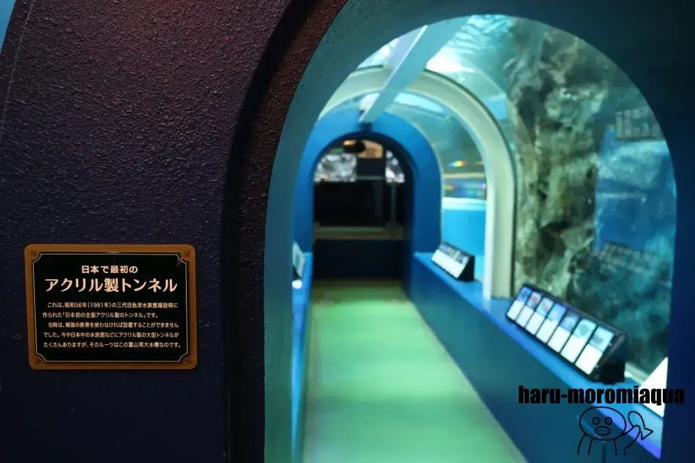 魚津水族館 トンネル